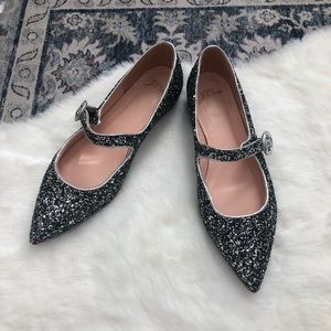 J. Crew Metallic Silver Mary Jane Pointy Flats
